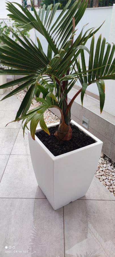 Luxury Townhouse Lejlighed Costa Adeje  Eksteriør billede